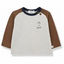 Hot 1+ in the family T-shirt Paul | Marron