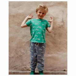 Hot T-Shirt Tigre Coton Bio | Enfant T-Shirts, Chemises