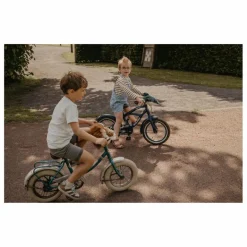 Wild & Soft Skates, Trottinettes*Tête de trottinette Lion |