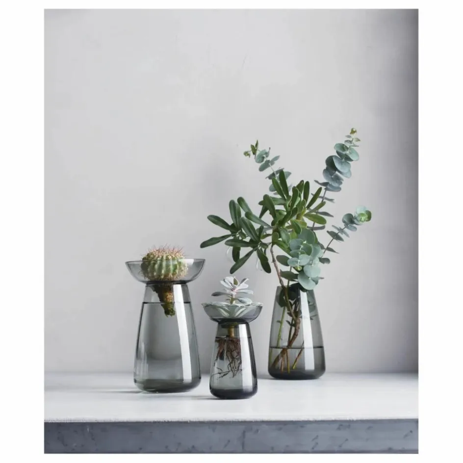 Kinto Vase en verre Aquaculture || Vases, Objets Déco