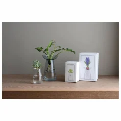 Kinto Vase en verre Aquaculture || Vases, Objets Déco