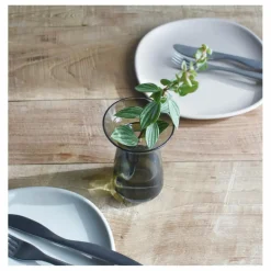 Clearance Kinto Vase en verre Aquaculture | Gris