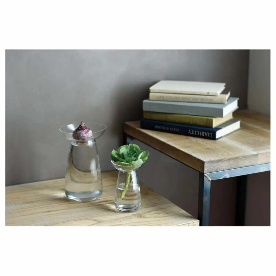 Outlet Vase en verre Aquaculture | Vases, Objets Déco