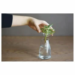 Outlet Kinto Vase en verre Aquaculture | Transparent