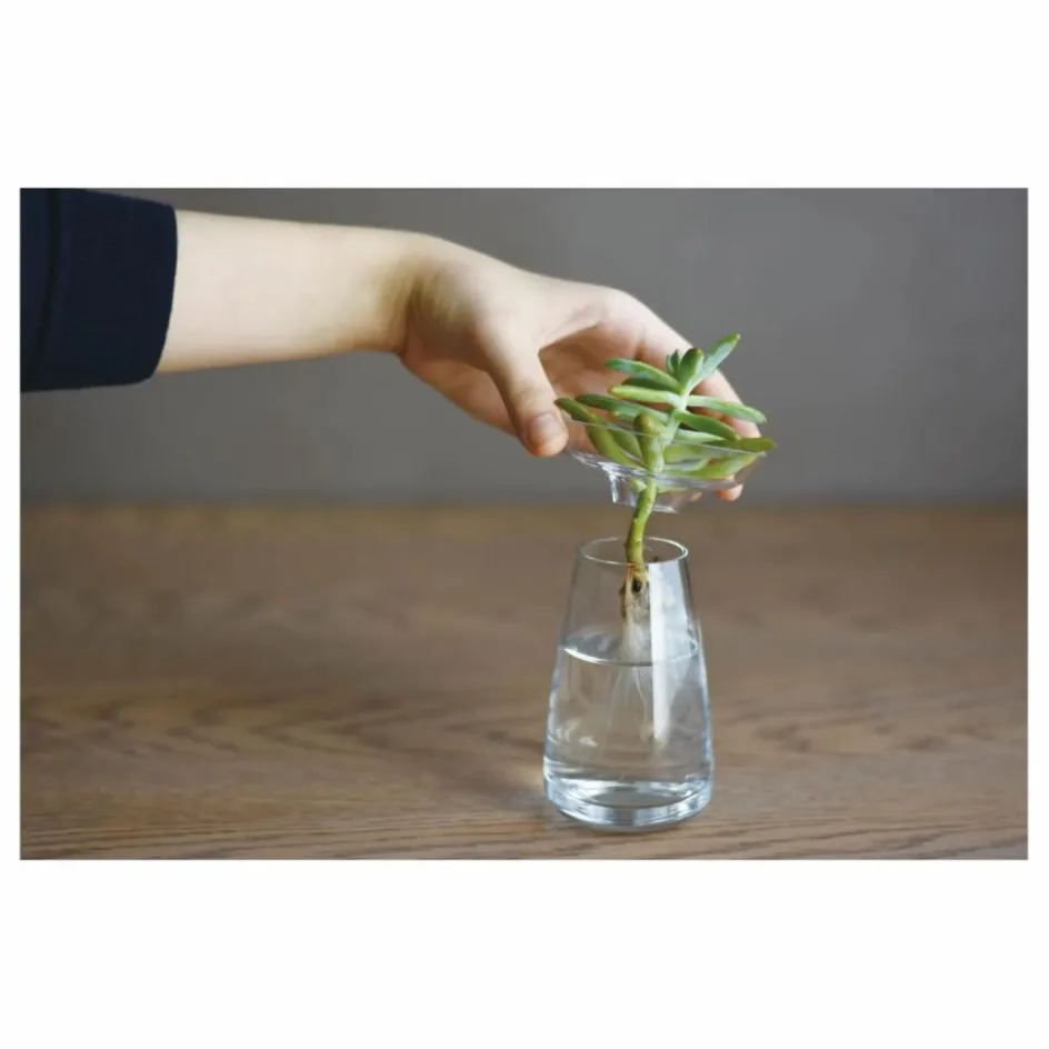 Outlet Kinto Vase en verre Aquaculture | Transparent