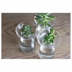 Outlet Kinto Vase en verre Aquaculture | Transparent
