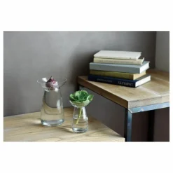 Outlet Kinto Vase en verre Aquaculture | Transparent