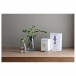 Outlet Kinto Vase en verre Aquaculture | Transparent