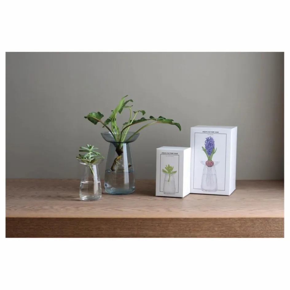 Outlet Kinto Vase en verre Aquaculture | Transparent