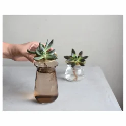 Best Vase en verre Luna | Vases, Objets Déco