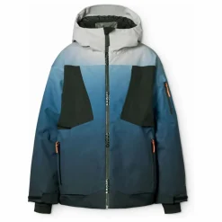 Online Molo Veste de Ski Alpine Ice | Bleu