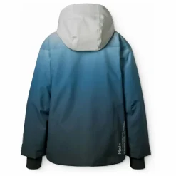 Online Molo Veste de Ski Alpine Ice | Bleu